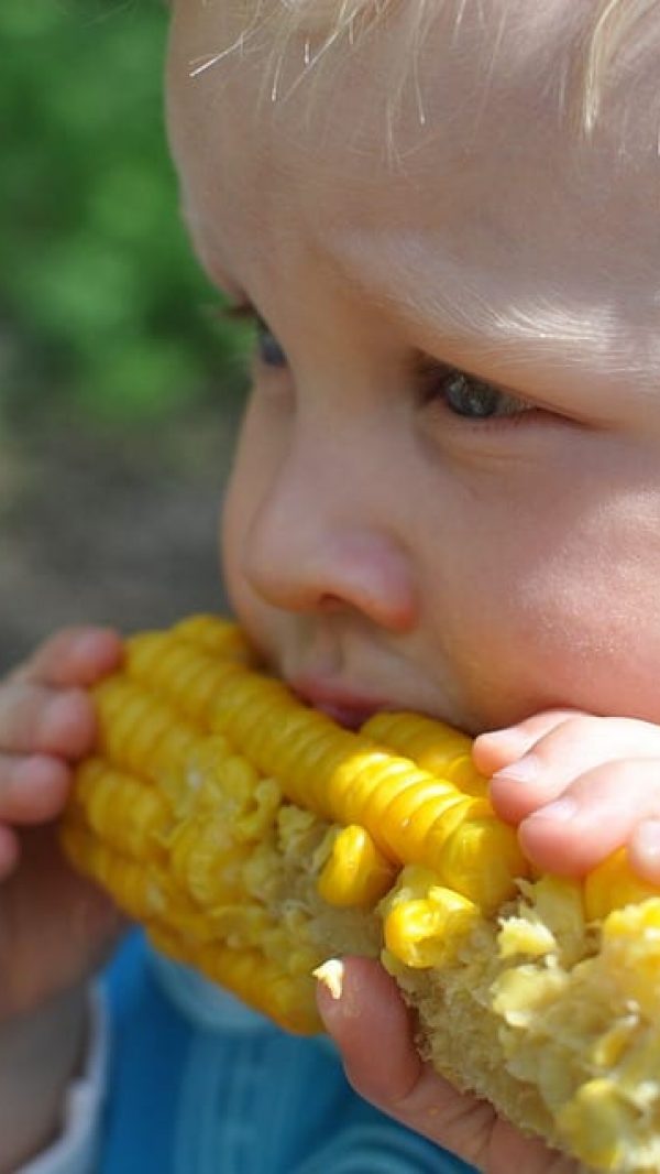 KidEatingCorn.jpg